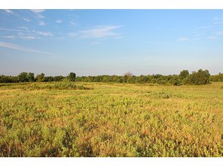 Tract 15 - LAND AUCTION - 440+/- Acres offered in 15 Tracts in Tulsa County